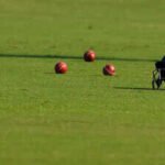 cricket