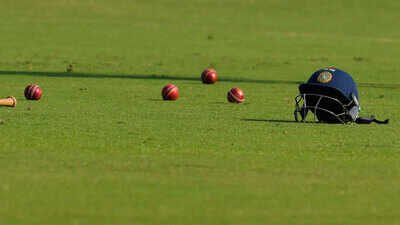 cricket